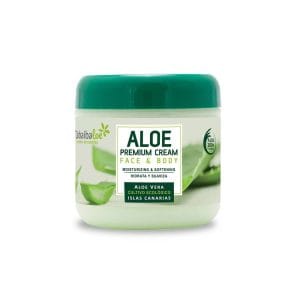 variegated aloe plant Variegated Lace Aloe